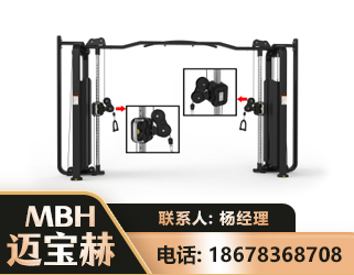 运城大飞鸟训练器